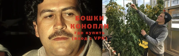 стаф Михайловск