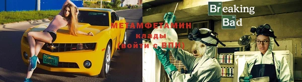 сатива Тайга