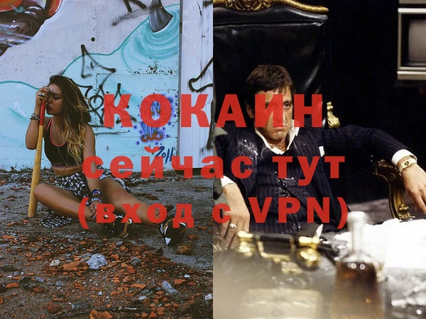 стафф Вязьма