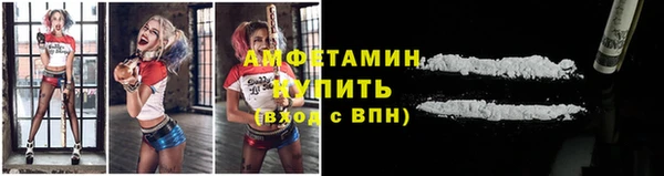 стафф Вязьма