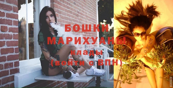 стафф Вязьма