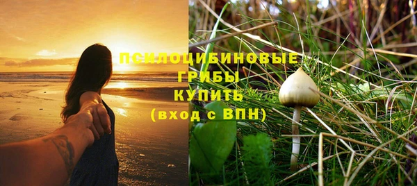 стаф Михайловск